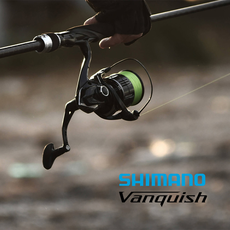 Shimano 23 Vanquish Origin Fis - Daiwa Reel Bg review and price